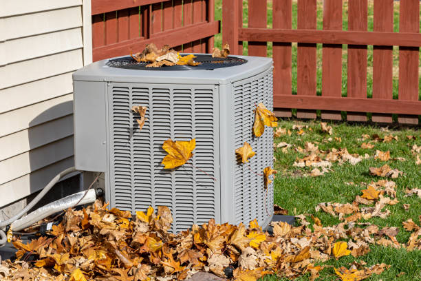 Best HVAC Maintenance Near Me  in Eunice, NM